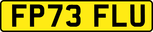 FP73FLU