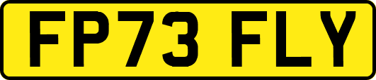FP73FLY