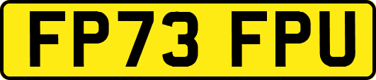 FP73FPU