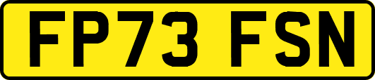 FP73FSN