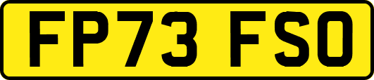 FP73FSO