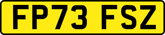 FP73FSZ