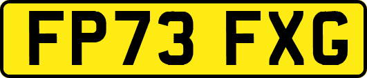 FP73FXG