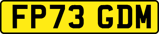 FP73GDM