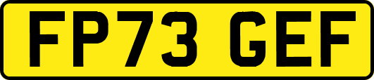 FP73GEF