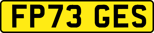 FP73GES
