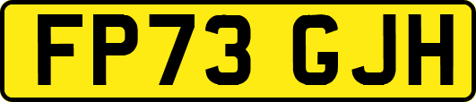 FP73GJH