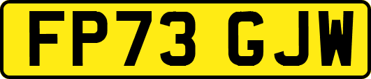 FP73GJW