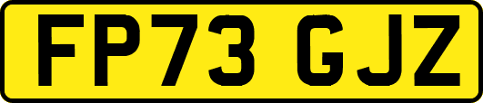 FP73GJZ