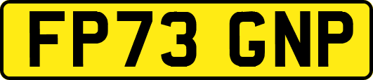 FP73GNP