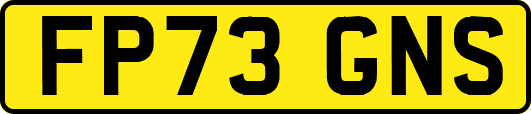 FP73GNS