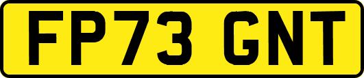 FP73GNT