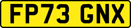 FP73GNX