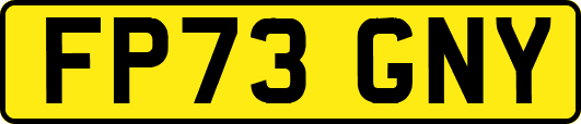 FP73GNY