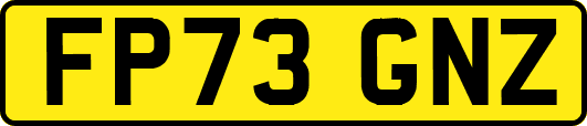 FP73GNZ