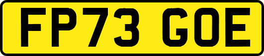 FP73GOE