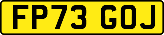 FP73GOJ