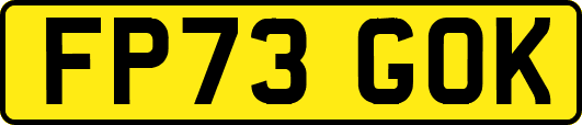FP73GOK
