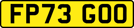 FP73GOO