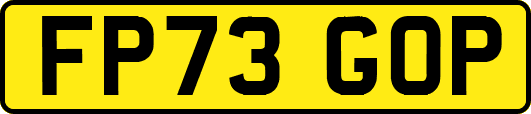 FP73GOP