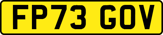 FP73GOV