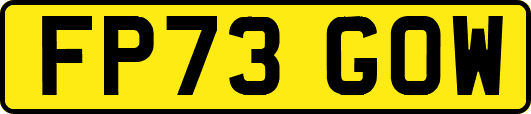 FP73GOW