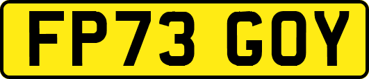 FP73GOY