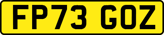 FP73GOZ