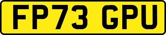 FP73GPU
