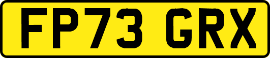 FP73GRX