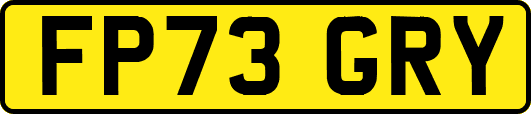 FP73GRY