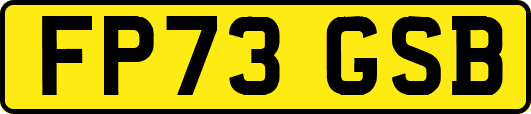 FP73GSB