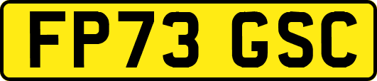 FP73GSC