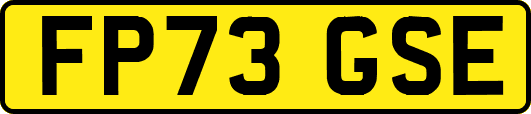 FP73GSE