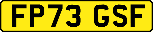 FP73GSF