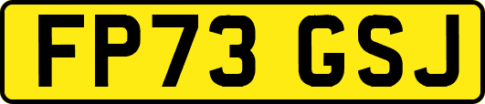 FP73GSJ