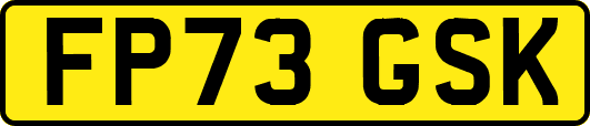 FP73GSK