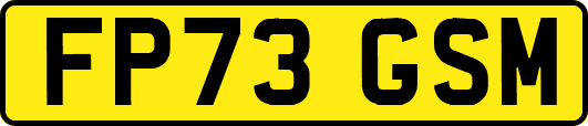 FP73GSM