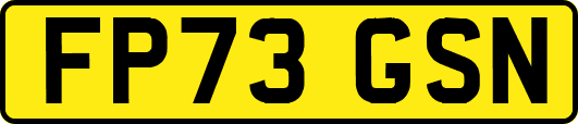 FP73GSN