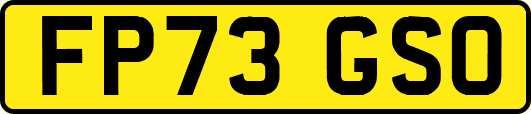 FP73GSO