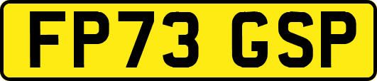 FP73GSP