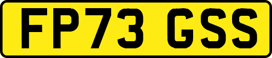 FP73GSS