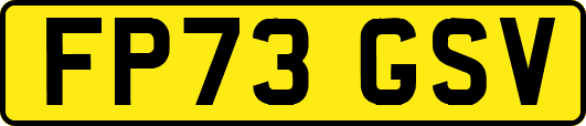 FP73GSV