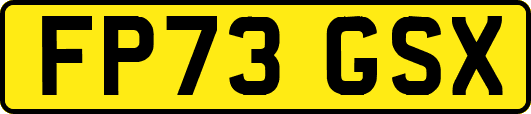 FP73GSX