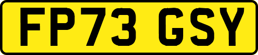 FP73GSY