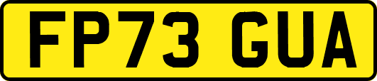 FP73GUA