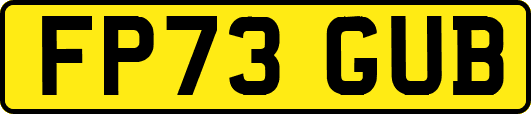 FP73GUB
