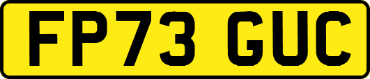 FP73GUC