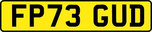 FP73GUD