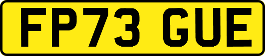 FP73GUE